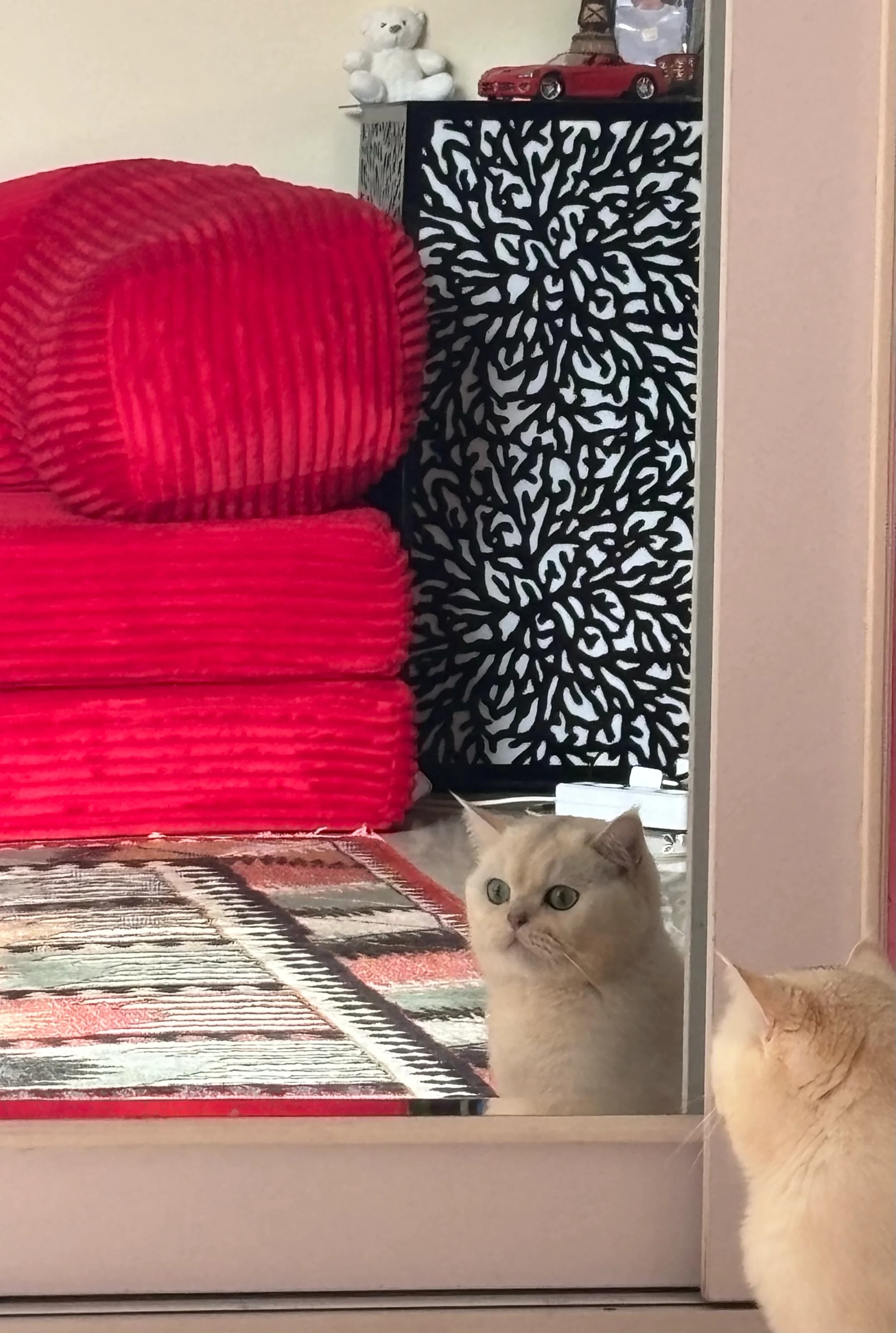 Konjed studying his reflection beside a red couch